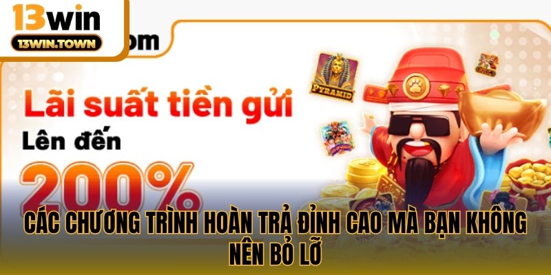 Các chương trình hoàn trả đỉnh cao mà bạn không nên bỏ lỡ 