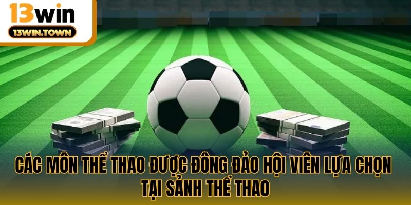 Các môn thể thao được đông đảo hội viên lựa chọn tại sảnh thể thao