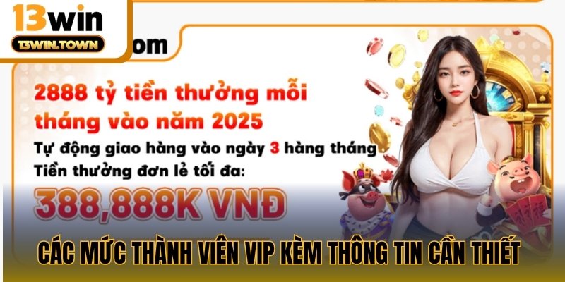 Các mức thành viên VIP kèm thông tin cần thiết 