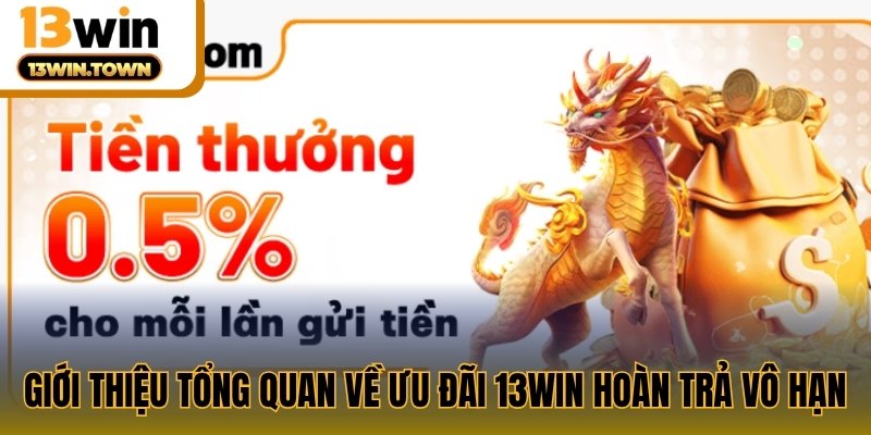 Giới thiệu tổng quan về ưu đãi 13WIN hoàn trả vô hạn