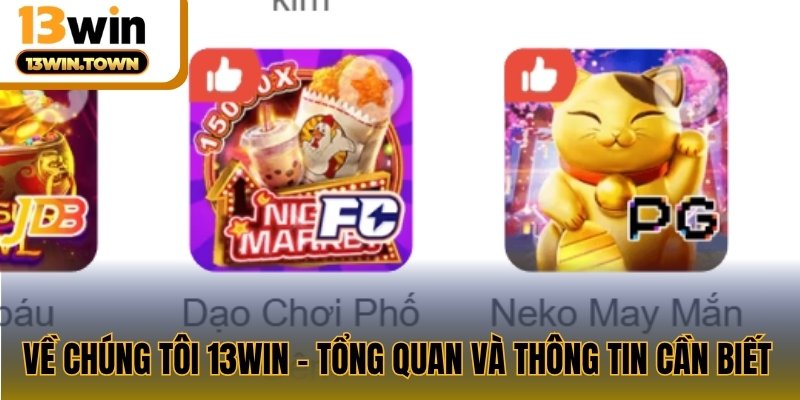 Về chúng tôi 13WIN – Tổng quan và thông tin cần biết